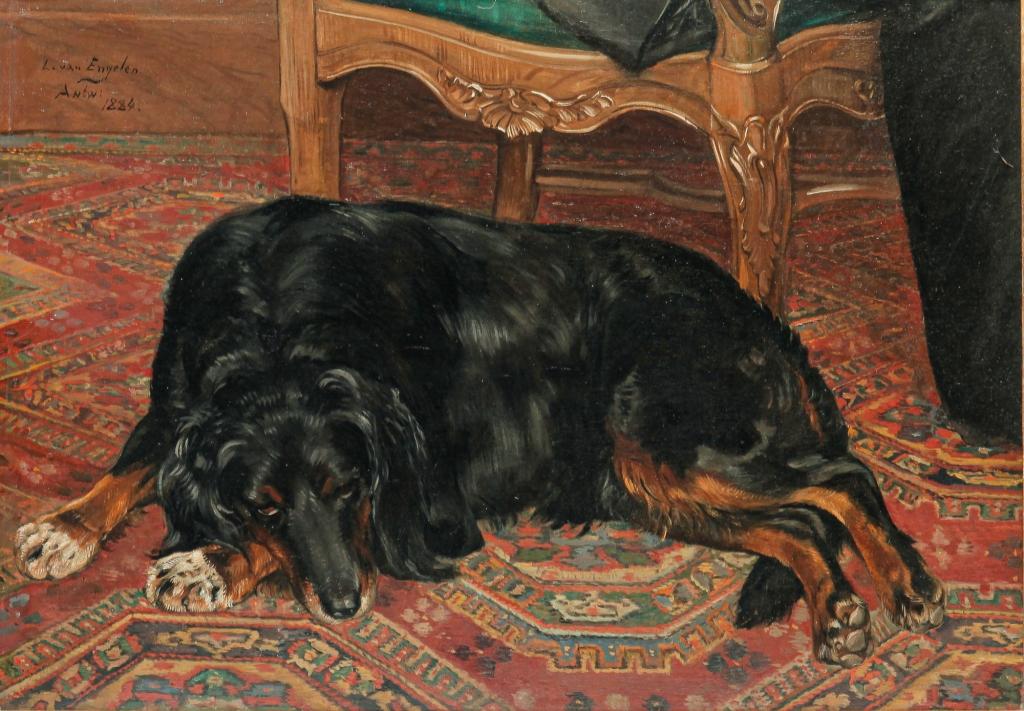 Dog reference