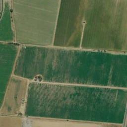 rectangular_farmland_001.jpg