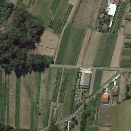 rectangular_farmland_032.jpg