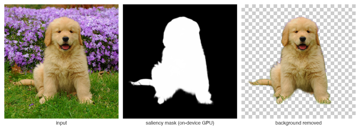U²-Net — input, saliency mask, background removed (on-device LiteRT GPU)