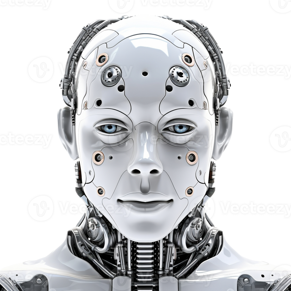 bot.png
