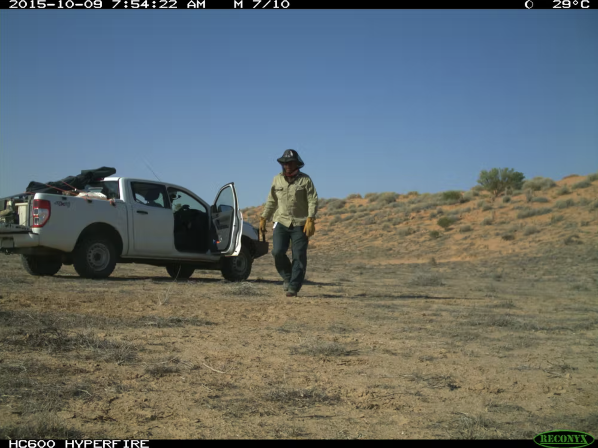truck.png