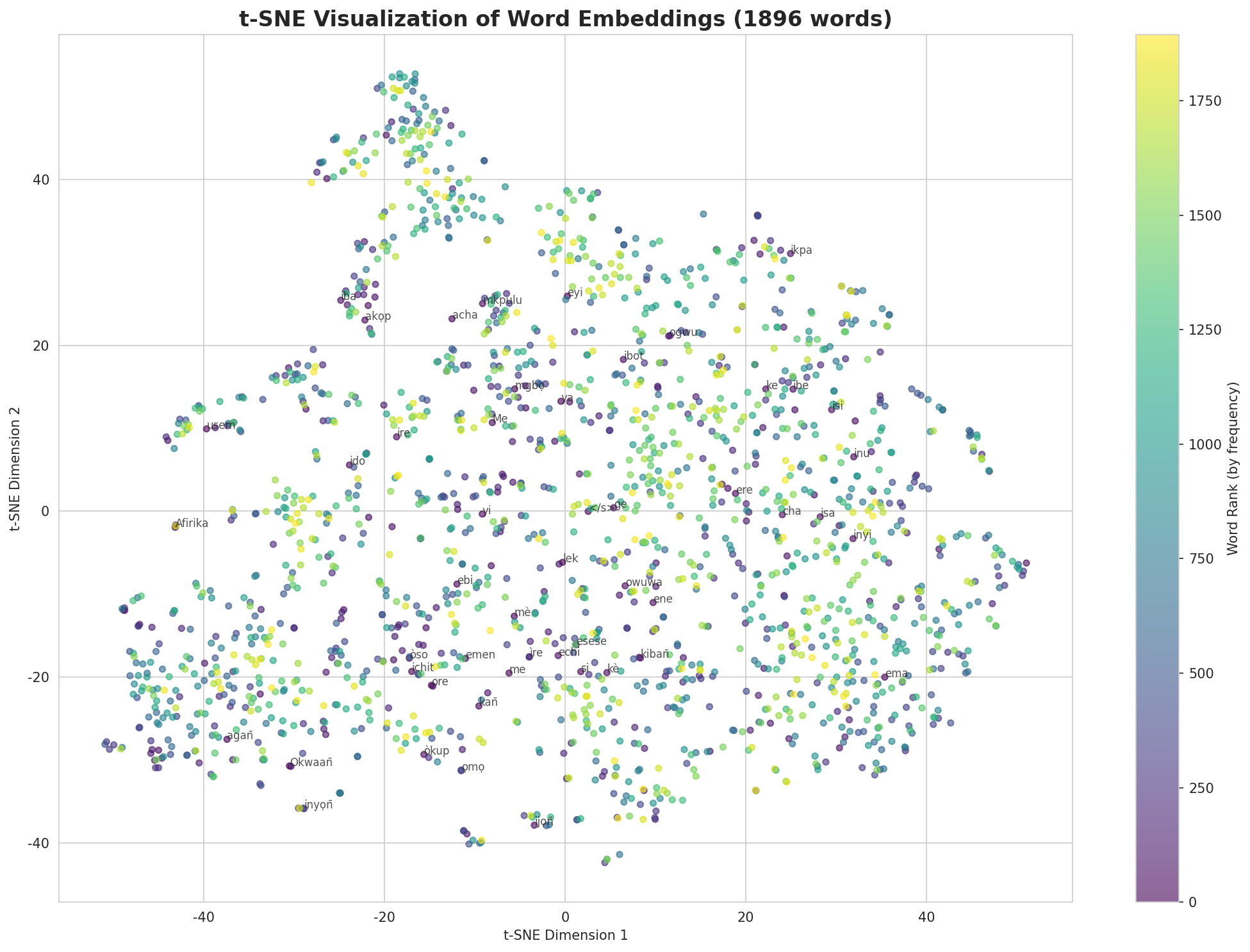 t-SNE Words